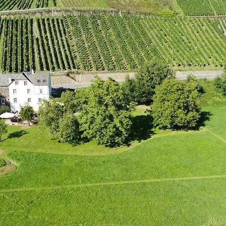 Livi's 3* Ноймаген-Дхрон