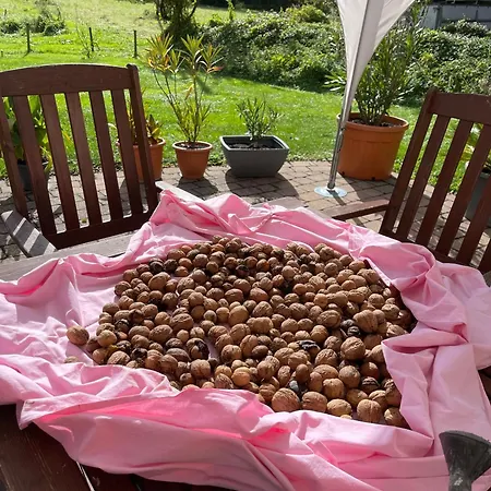 Livi's Гостевой дом Ноймаген-Дхрон