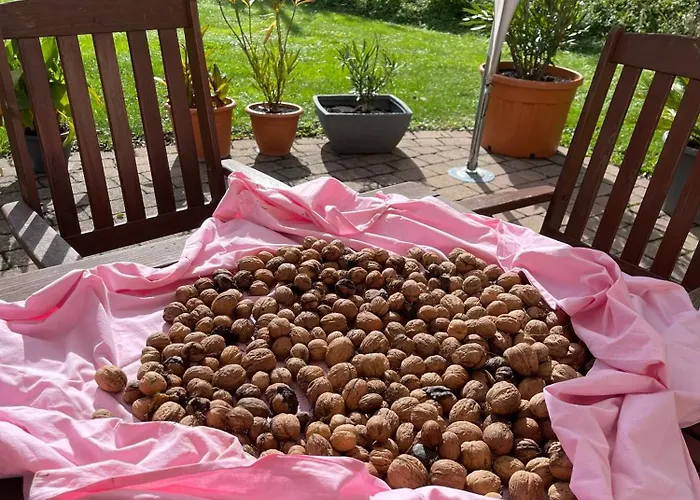 Livi's Casa de hóspedes Neumagen-Dhron