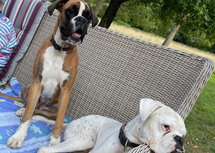 Casa de hóspedes Livi's